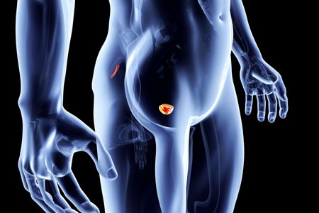 Характеристика причин, симптомов и лечения рака предстательной железы у мужчин